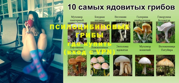 прущая мука Богданович